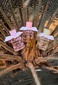 Parfum Wild blossom VELVET for her EdP 30 ml