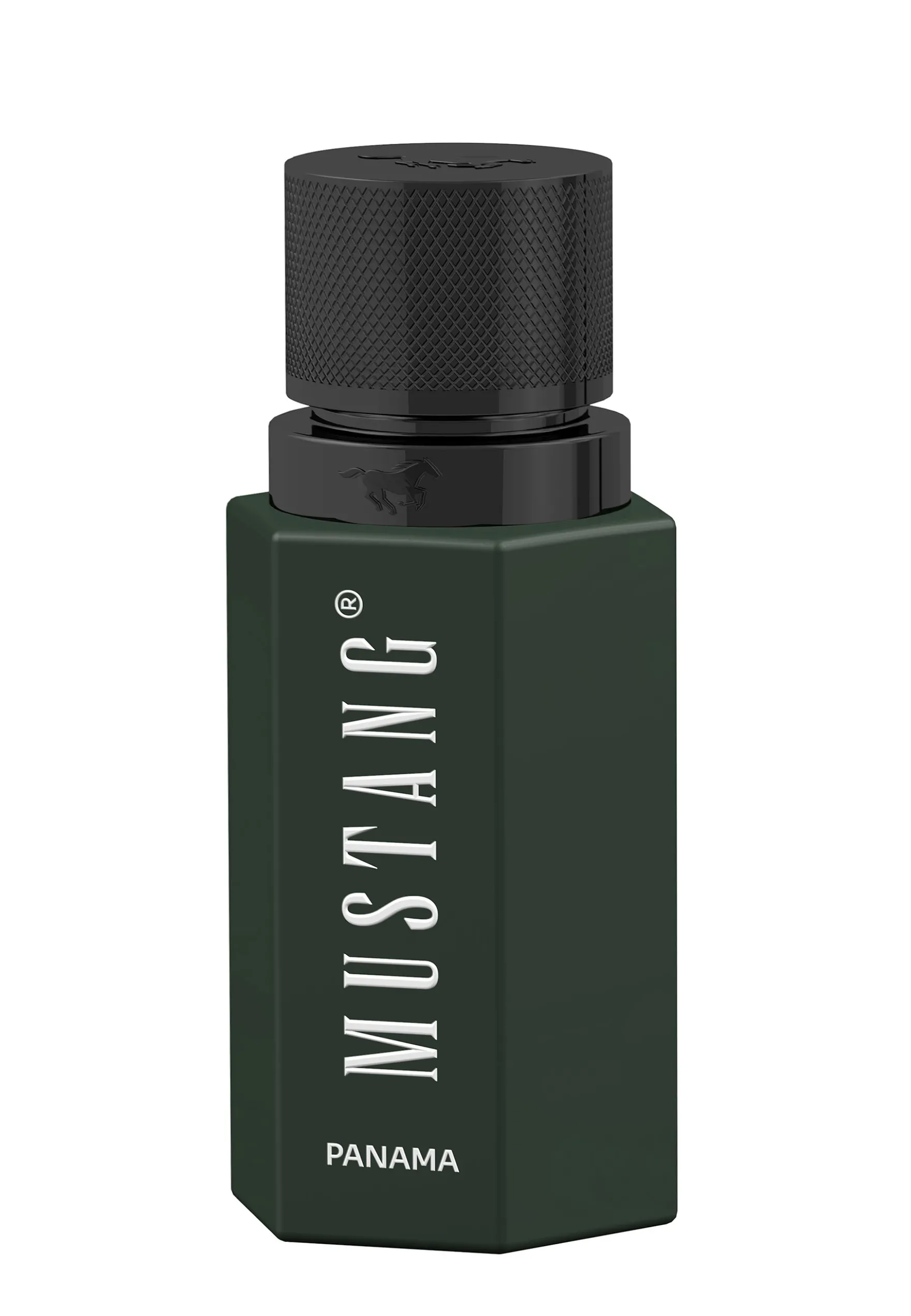 Parfum WILD HORIZON PANAMA for him EdP 50ml