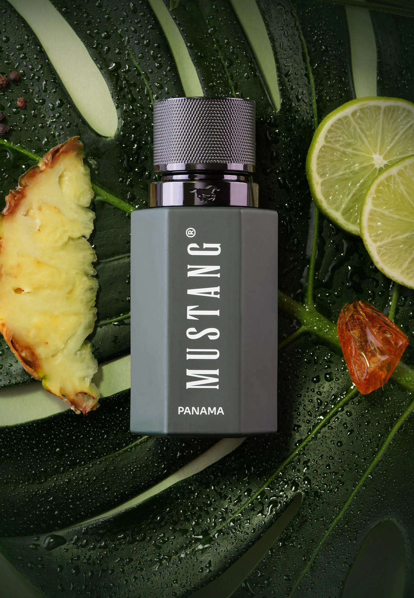 Parfum WILD HORIZON PANAMA for him EdP 50ml